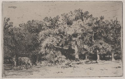 A fontainebleau-i erdő sarka (rézkarc) alkotó: Charles Emile Jacque