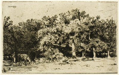 A fontainebleau-i erdő egy része alkotó: Charles Emile Jacque