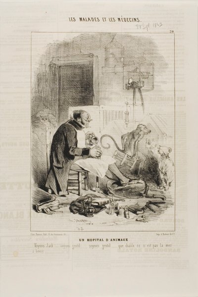Állatkórház (20. tábla) alkotó: Charles Emile Jacque