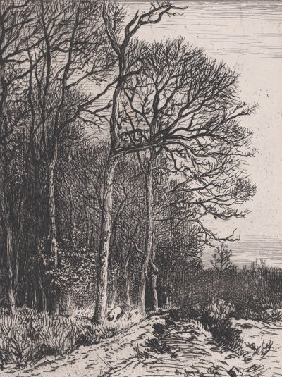 Az erdő széle, 1846. alkotó: Charles Emile Jacque