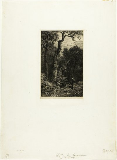 Lövés Woodcock alkotó: Charles Emile Jacque