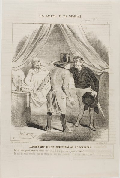 Az orvosi konzultáció öröme (11. tányér) alkotó: Charles Emile Jacque