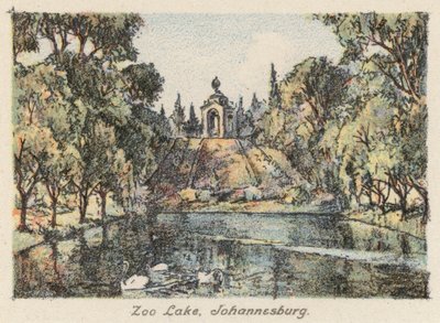 Dél-Afrika: Zoo Lake, Johannesburg (színes litográfia) alkotó: Charles Ernest Peers