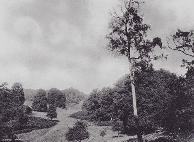 Knole Park (f/w fotó) alkotó: Charles Essenhigh Corke