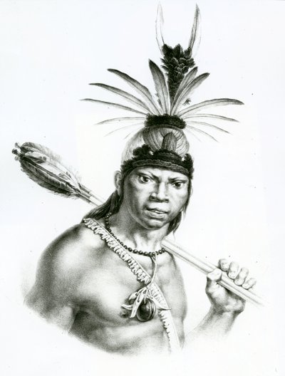 Camacan Mongoyo főnök Jean Baptist Debret "Egy pitoreszk és történelmi utazás Brazíliába" című művéből, 1834. alkotó: Charles Etienne Pierre Motte