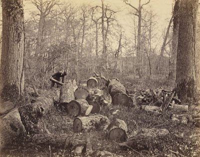 Fontainebleau-i erdő alkotó: Charles Famin