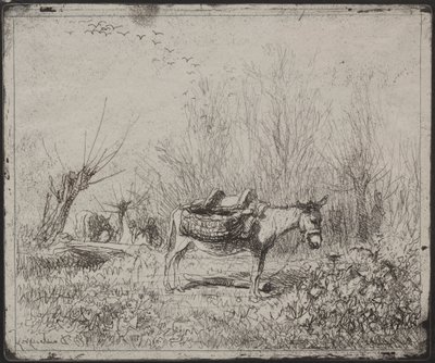 Szamár a mezőn, eredeti lenyomat 1862, nyomtatva 1921-ben. alkotó: Charles Francois Daubigny