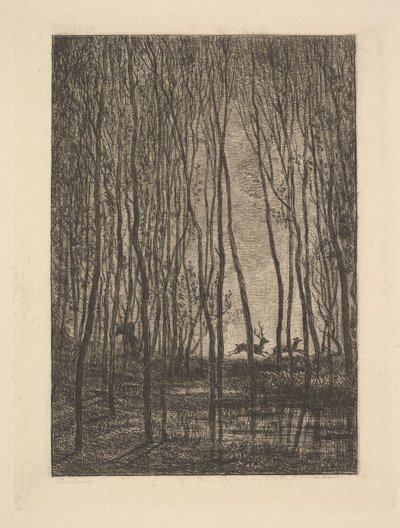 Szarvas az erdőben, 1850. alkotó: Charles Francois Daubigny