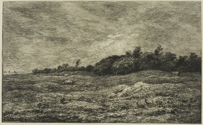 A Pre des Graves Villerville-ben (Calvados) alkotó: Charles Francois Daubigny