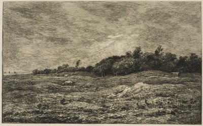 A Pre des Graves Villerville-ben (Calvados) alkotó: Charles Francois Daubigny