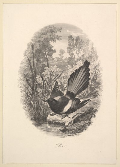 Szarka, 1843. alkotó: Charles Francois Daubigny