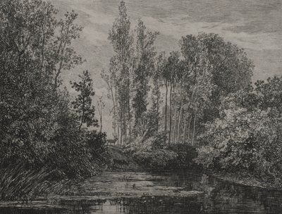 Szarvasok a vízparton, 1850. alkotó: Charles Francois Daubigny