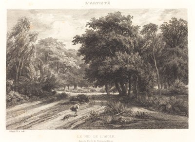 A sasfészek a fontainebleau-i erdőben (Le nid de l
