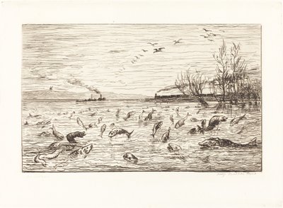 A halak örülnek, amikor a kabinfiú elmegy (Rejouissances de poissons du depart du mo alkotó: Charles Francois Daubigny