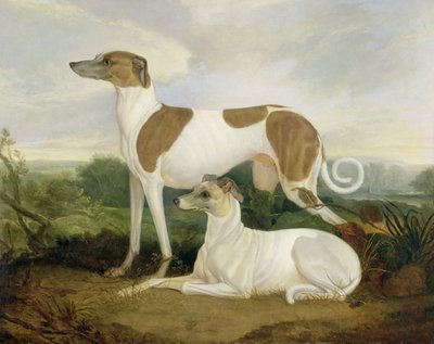 Két agár egy tájban alkotó: Charles Hancock