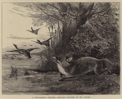 Egy Négylábú orvvadász, Reynard felkapta a vacsoráját alkotó: Charles Harvey Weigall