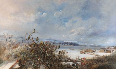 Egy toll madarai alkotó: Charles Henry Clifford Baldwyn