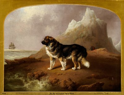 Egy újfundlandi kutya alkotó: Charles Henry Schwanfelder