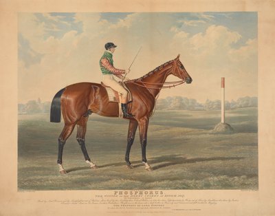 Lóverseny: „Phosphorus”, George Edwards lovagolta, az epsomi Derby Stakes győztese, 1837 alkotó: Charles Hunt