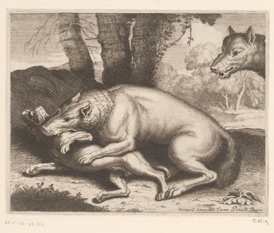 Kutyát megtámadt egy farkas Állatsorozat (sorozat címe) alkotó: Charles II Errard (attributed to)