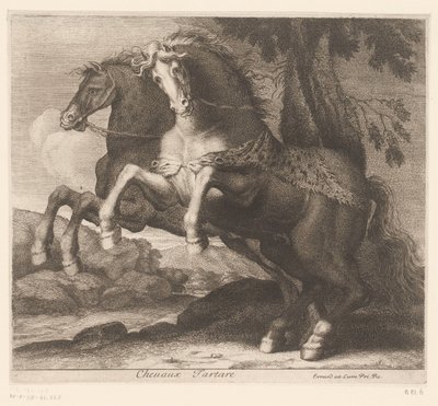 lovakat tenyészteni Chevaux Tartare (cím a tárgyon) Állatsorozat (sorozat címe) alkotó: Charles II Errard (attributed to)