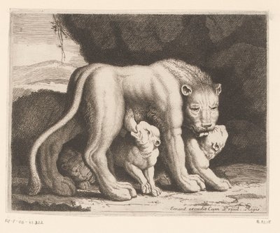 szoptató oroszlán Állatsorozat (sorozat címe) alkotó: Charles II Errard (attributed to)