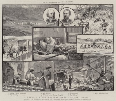 Friss levegő és egészséges munka a városi araboknak, feljegyzések a Gyermekotthon lancashire-i fiókjában, Crowthorne, Edgworth, Bolton közelében alkotó: Charles J. Staniland
