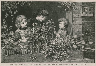 A londoni szegények kikapcsolódása: ablakkertészet gyerekeknek (metszet) alkotó: Charles J. Staniland