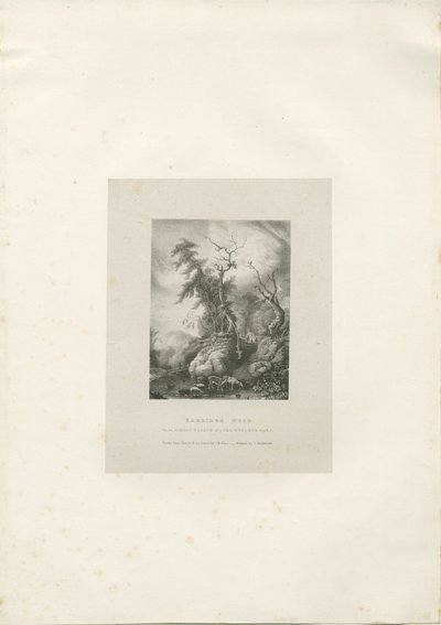 Himley Estate – „Bagridge Wood”: litográfia, nd [1789-1850] (nyomtatott) alkotó: Charles Joseph Hullmandel
