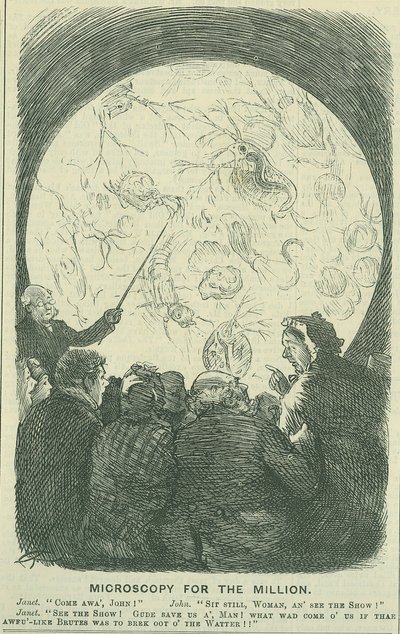 Mikroszkóp a millióknak: 1878 (metszet) alkotó: Charles Keene