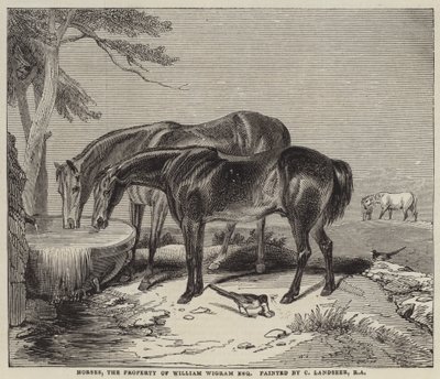 Lovak, William Wigram, Esquire tulajdona. alkotó: Charles Landseer