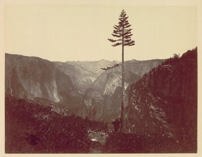 Yosemite-völgy a Mariposa Trailből, kb. 1865. alkotó: Charles Leander Weed
