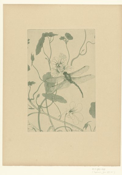 Szitakötő a nasturtium virágon Fleurs L