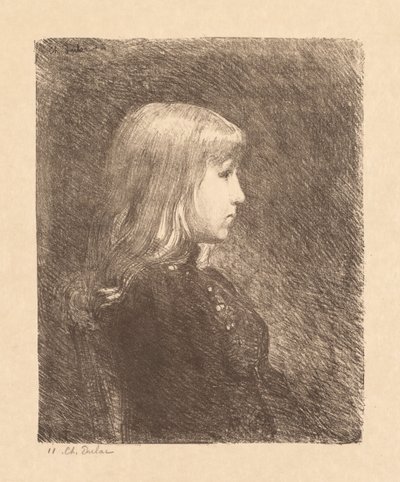 Fiatal hölgy, fiatal lány, 1892. alkotó: Charles Marie Dulac