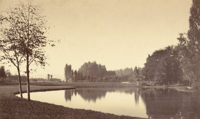 Bois de Boulogne, 1858. alkotó: Charles Marville