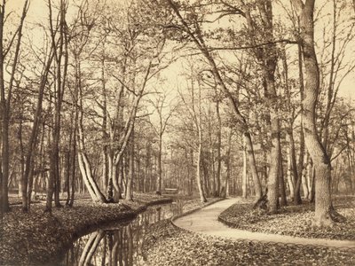 Boulogne-i erdő, Párizs alkotó: Charles Marville