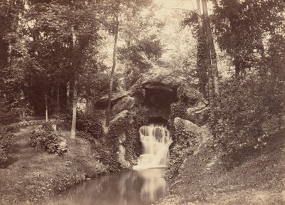 Barlang, Mare aux Biches, Bois de Boulogne alkotó: Charles Marville