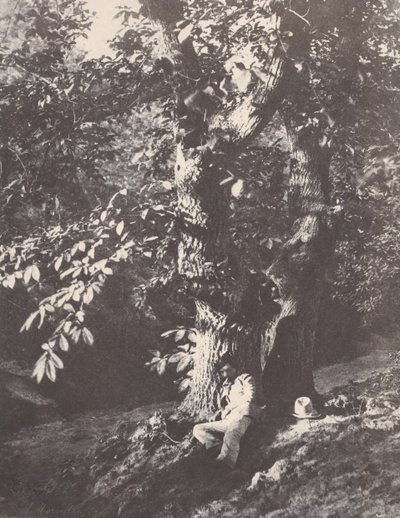 Gesztenyefa tövében fekvő ember, 1850-53. alkotó: Charles Marville