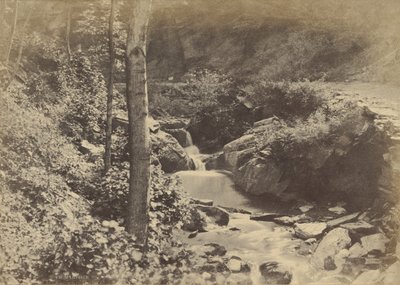 [A svájci völgy St. Goarshausenben] alkotó: Charles Marville