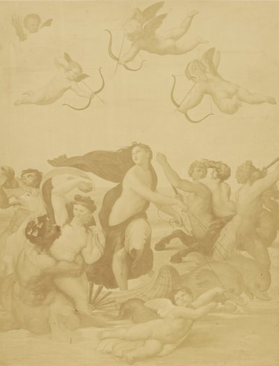 [Galatea reprodukciója Raphaël által] alkotó: Charles Marville