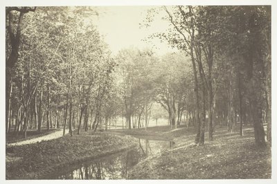 Cím nélkül, c. 1850. [Fák a víz közelében a Bois de Boulogne-ban, egy párizsi park]. alkotó: Charles Marville