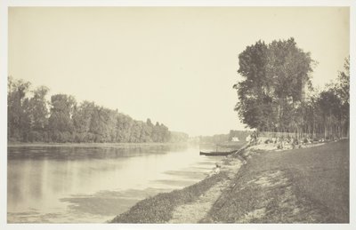 Cím nélkül, c. 1850. [Fák a víz közelében a Bois de Boulogne-ban, egy párizsi park]. alkotó: Charles Marville