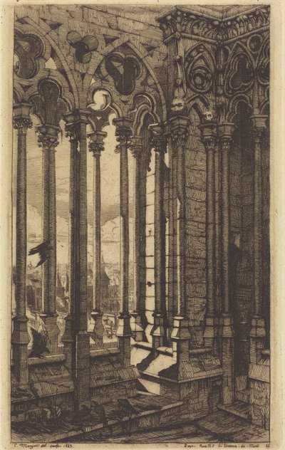 A Notre-Dame Galéria, Párizs (The Gallery of Notre Dame, Paris) alkotó: Charles Meryon