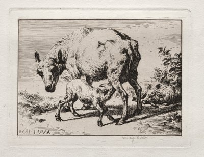Az anyajuh két báránnyal, 1850. alkotó: Charles Meryon