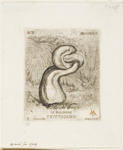 The Sickly Cryptogam alkotó: Charles Meryon