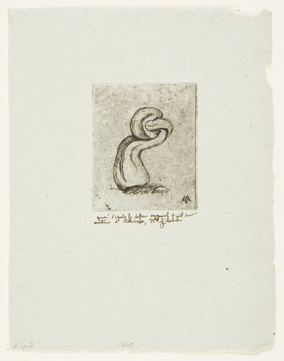 The Sickly Cryptogam alkotó: Charles Meryon