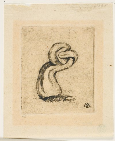 The Sickly Cryptogam alkotó: Charles Meryon