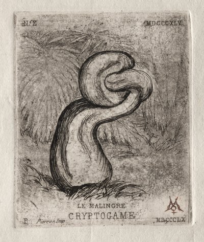 The Sickly Cryptogam, 1860. alkotó: Charles Meryon