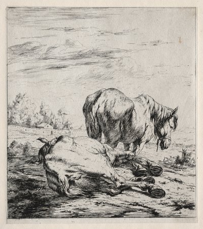 A két ló alkotó: Charles Meryon