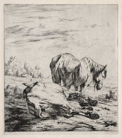 A két ló, 1850. alkotó: Charles Meryon